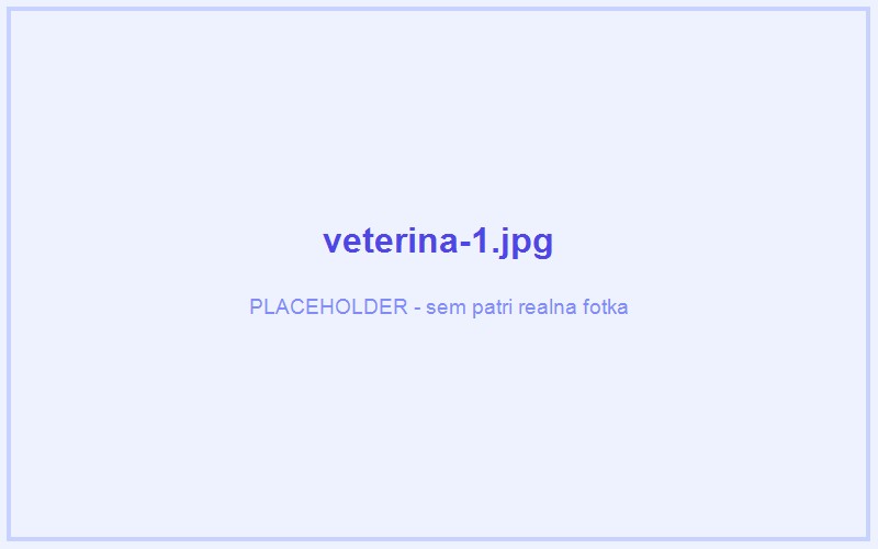 Notifikačný systém pre veterinárnu kliniku – ukážka 1