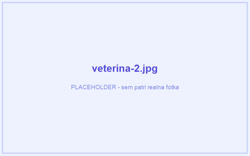 Notifikačný systém pre veterinárnu kliniku – ukážka 2